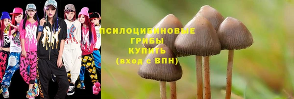 гашик Строитель